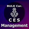 Bulk carrier. Management CES - Maxim Lukyanenko