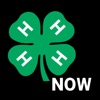 4-H Now