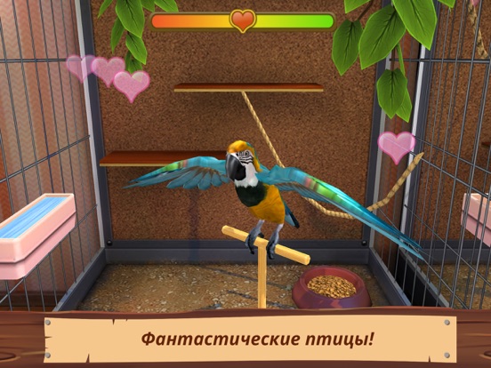 Pet World - приют для животных для iPad