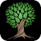 Connect with our community through the Tree of Life Palmer app