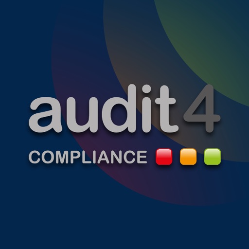 Audit 4