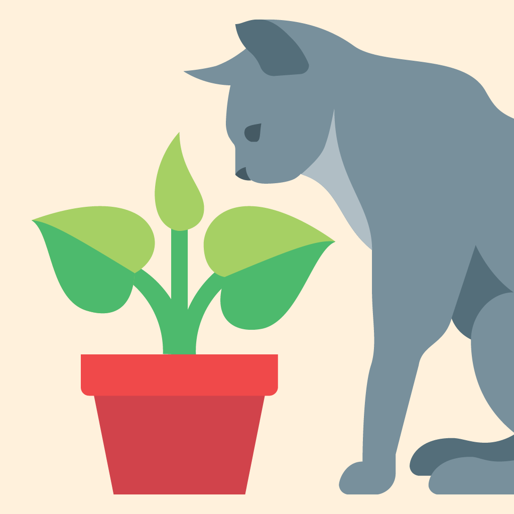 Get SafePet - bezpieczny ogród for iOS, iPhone, iPad Aso Report