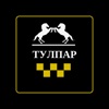 ТУЛПАР GO