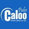 Caloo Pulse