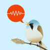ChirpOMatic - Birdsong Europe - Spiny Software Ltd