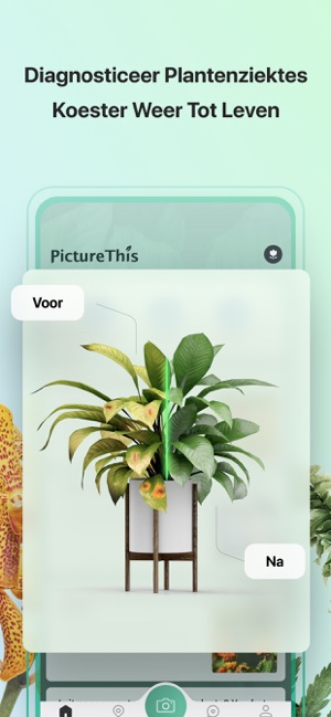 Picturethis Planten Herkennen In De App Store