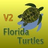 Florida Turtles