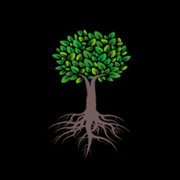Organic Rootz