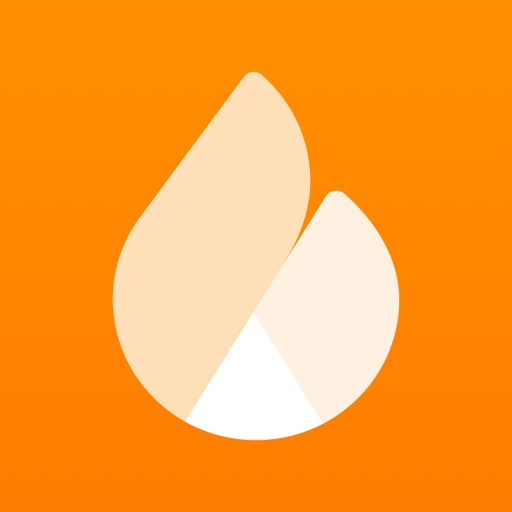 Netatmo Energy Download