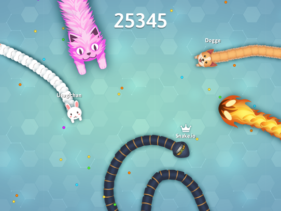 Slither.io Snake Game Play online or Download Free App