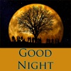 Icon Good Night Greetings & Sms