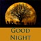 Good night messages & images & frame & Gif & Greetings is an application that can be used to greet a good night wishes and good night card to your loved one, family, father, mother, brother, sister, cousin, niece, nephew, auntie, uncle and all friend