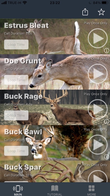 Whitetail Deer Calls for Hunt