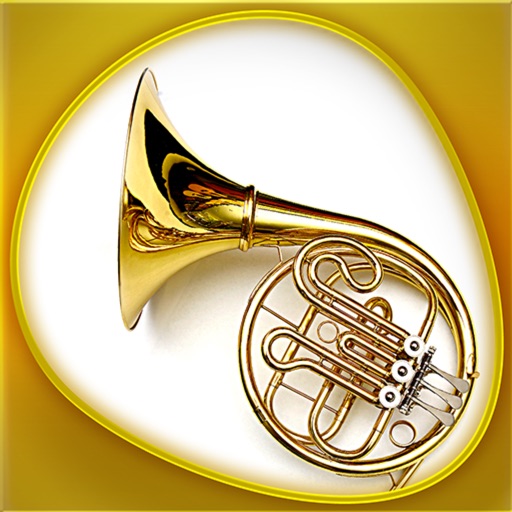Instruments 360 Gold Download