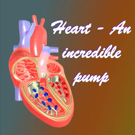 Heart - An incredible pump Cheats
