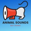 Animal Sounds - Cats Meowing