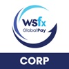 WSFx Corp