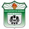 Liga Selva Alegre