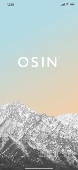 Game screenshot OSIN mod apk