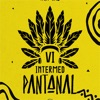 Intermed Pantanal 2023