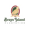 Brays Island