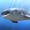 Icon whale shark that grows calmly