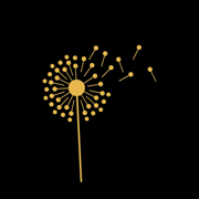 Rijvers Festival