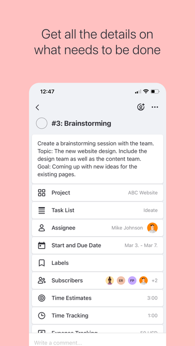 ActiveCollab: Work Management screenshot 4