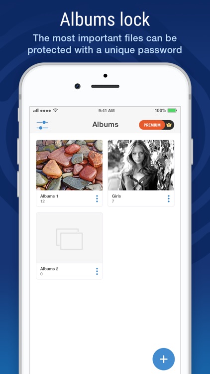 Hidden Picture Vault. Secret+