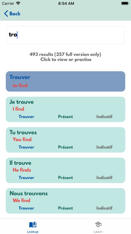 VerbSquirt French Verbs screenshot-4