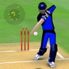 Icon Smashing Cricket: cricket game