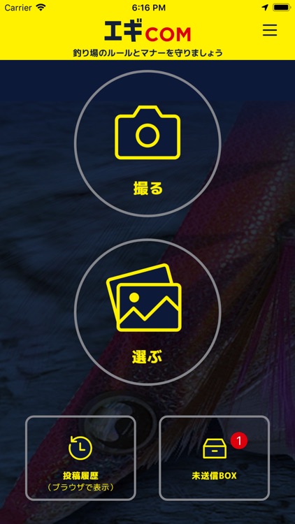 エギCOM　釣果投稿アプリ