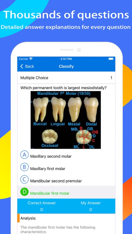 NBDE I Dental Boards Expert screenshot-3