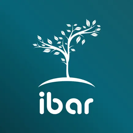 ibar learning Читы