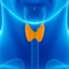 TIRADS, ATA & BTA for Thyroid