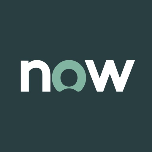 ServiceNow Agent
