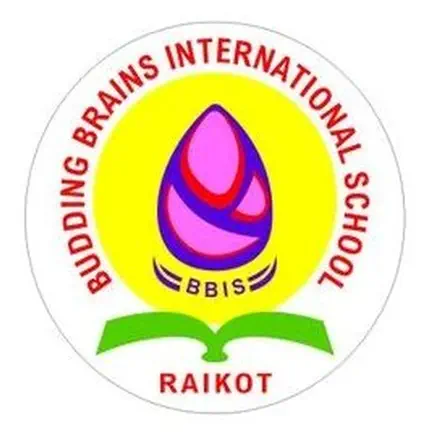 BBIS RAIKOT Читы