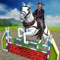 Icon Real World Jumping Horse Game