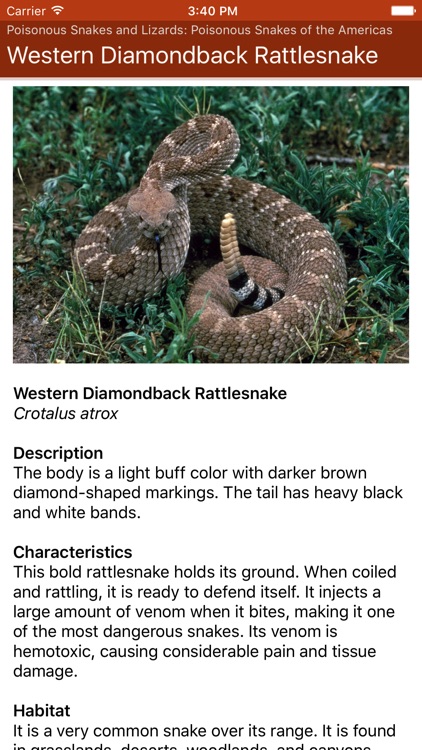 Survival Skills
