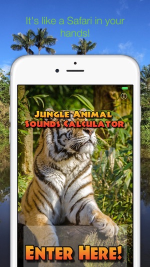 Jungle Animal Sounds Calc