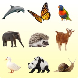 Animals Guide for Kids