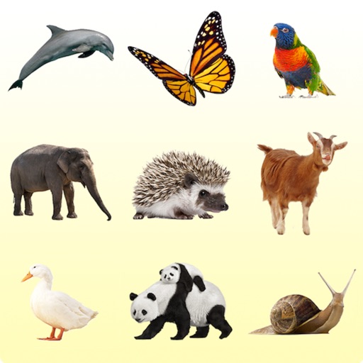 Animals Guide for Kids