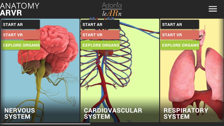 Anatomy ARVR