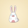 I am Cool Rabbit