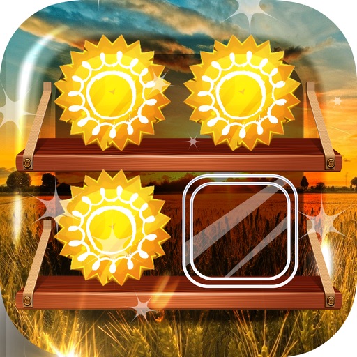 Screen Design for Sunny & Sunset Wallpapers Pro icon