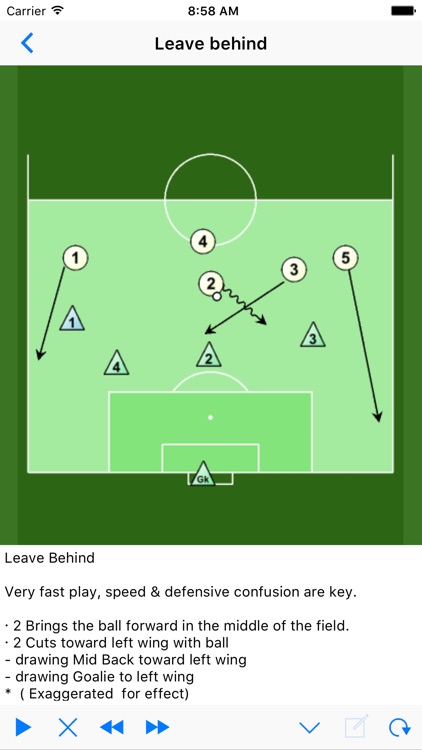 Soccer Playview