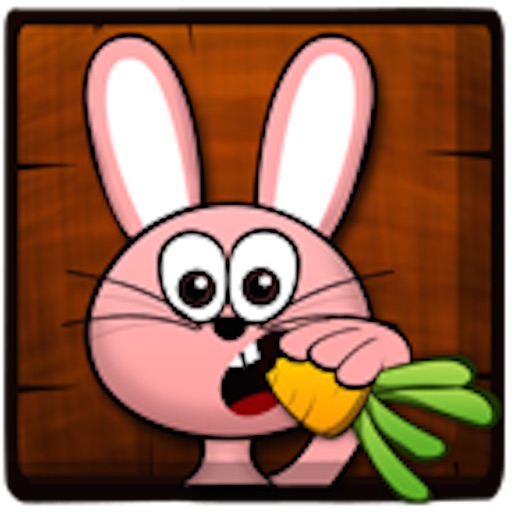 Ninja Rabbit Pro icon