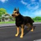 Amazing Dog Simulator : Play super dog life role