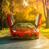 Car Wallpapers - Unofficial Lamborghini Cars