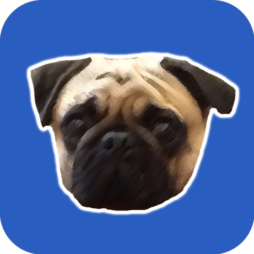 Farting Pug Pro icon